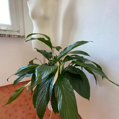 Mit Loggia Und Traumblick Apartament *
